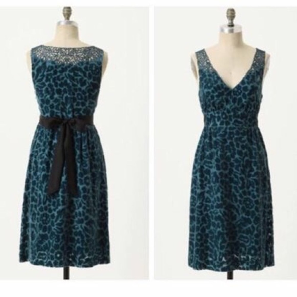 Anthropologie Velvet Burnout Dress